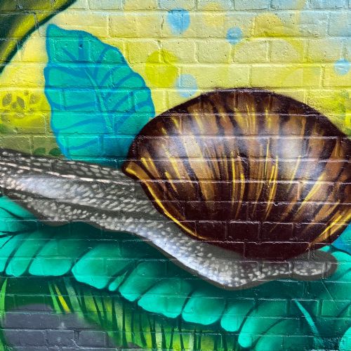 Collaborativesnailspraypaint