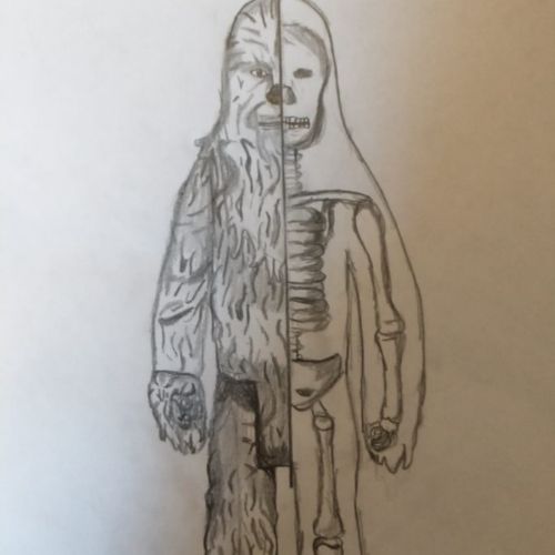 ToyAnatomy