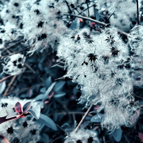 Y2Photography