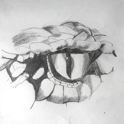 dragonseye